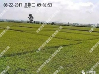 ˮ���Nֲ����ҕ�l�O(ji��n)��ϵ�y(t��ng)����